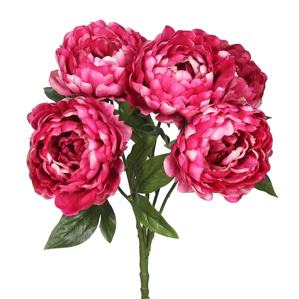 Dare2Decor Peony Bunch X5-Hot Pink Floral Bush DA582339 - main